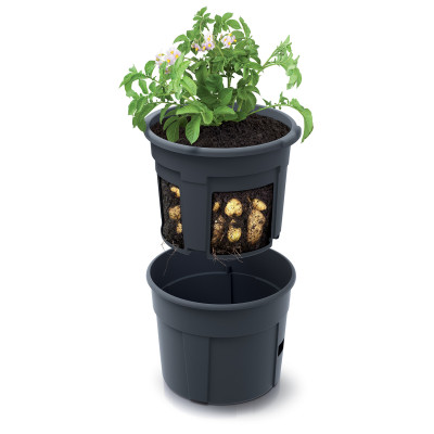 POTATO GROWER POT 2in1 cm. 29,5x23,6 h ANTHRACITE
