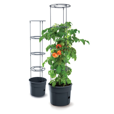 TOMATO GROWER POT 21in1 cm. 29,5x115,2 h ANTHRACITE