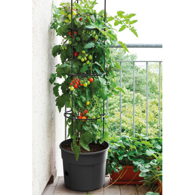 TOMATO GROWER POT 21in1 cm. 29,5x115,2 h ANTHRACITE